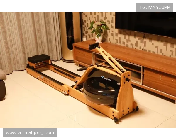 VR划船器结合实景模拟，居家锻炼也能体验自然风光